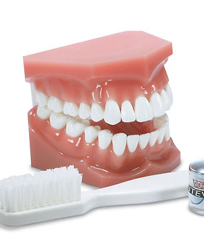 دندان مصنوعی خود را چگونه نگهداری کنیم